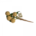 Ornement gold cerise avec feuille Noël | 10 cm > PQT 20