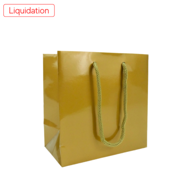 Sac cadeau glacé Euro or